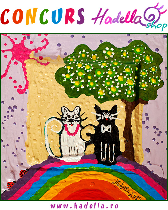 concurs-pictura-hadella-shop-2